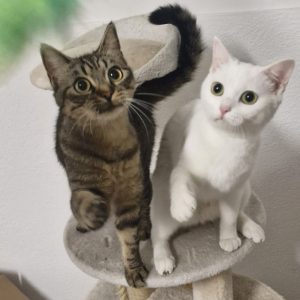 🩷 Molli & Murmel 🩷