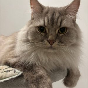 Findik sucht seine Dosenöffner