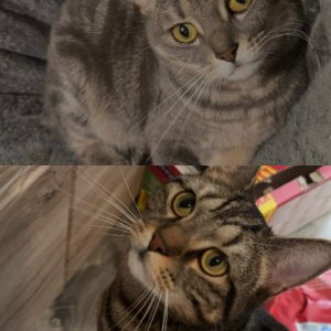 Kajo & Misha
